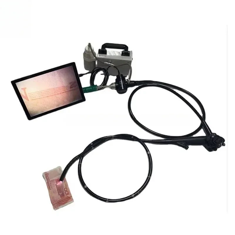 Medical Lab Video - Veterinary Video Endoscope for Dogs Cats