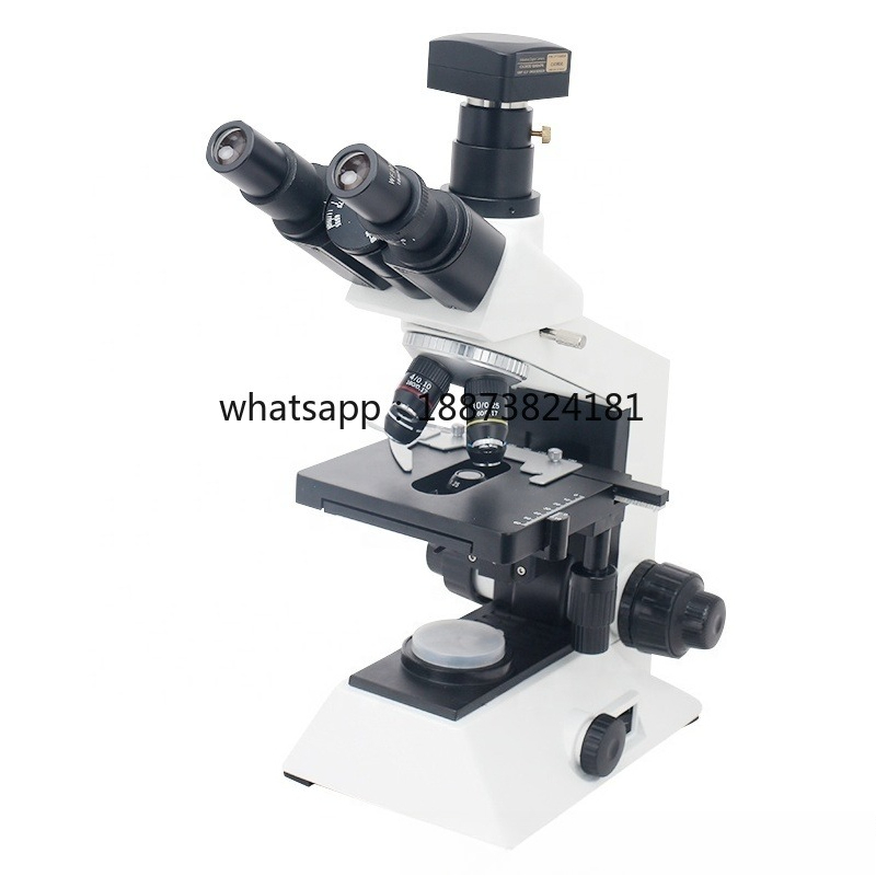 Medical Lab Video - BX301C Binocular Microscope Medical Lab Biological